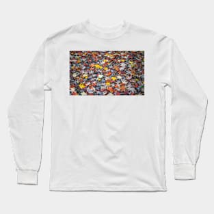 Colourful autumn leaves Long Sleeve T-Shirt